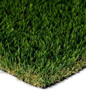 Eden Fescue Plus