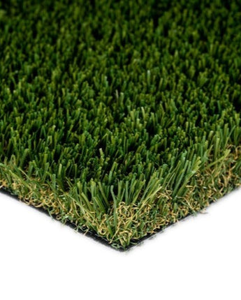 Suburb Fescue Plus