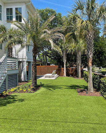 1,000 Square Foot Playground Fescue Plus Grass