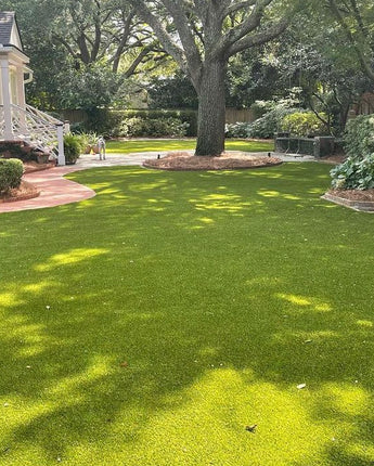 1,000 Square Foot Regal Plus Grass