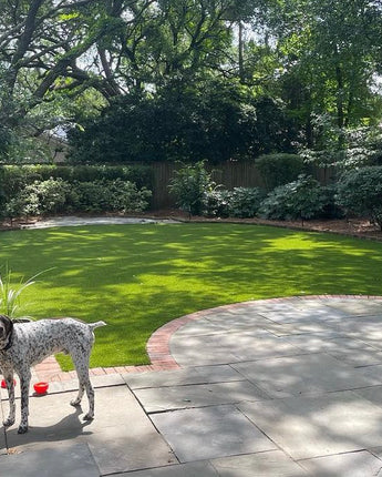 1,000 Square Foot Pet Grass